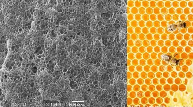 epp發(fā)泡聚丙烯的顯微結(jié)構(gòu)，可以看到這是種連續(xù)閉孔結(jié)構(gòu)，類似于蜂窩